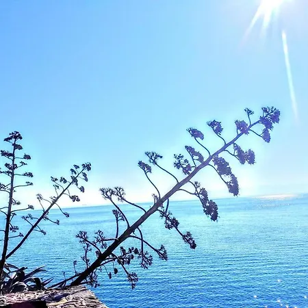 Znjanski Vidici Franka Lägenhet